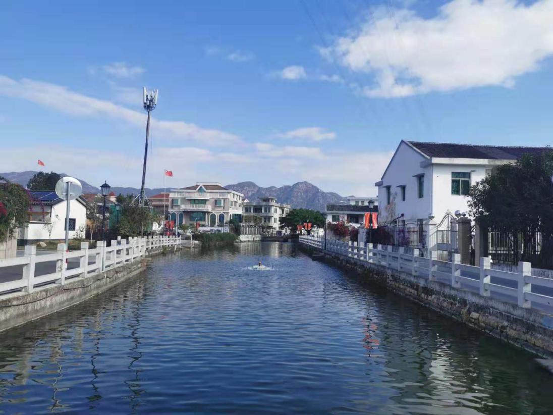 �߶����������